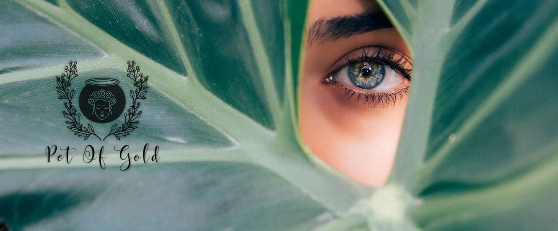 A close up of the eye and the leaves